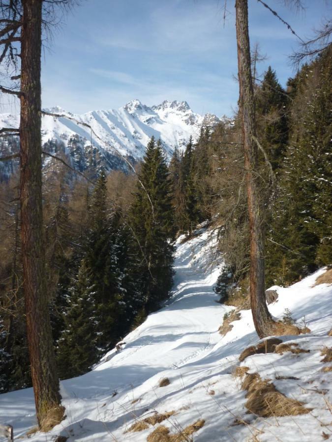 Toetscherhof Теренто Екстериор снимка